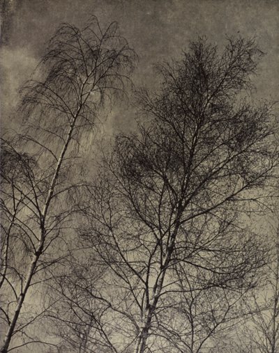 su encanto está escrito A lo largo de un cielo líquido, Robert Bridges (foto b/n) de Harold Burdekin