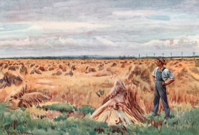 A lo largo de los Campos de Trigo de Manitoba de Harold Copping