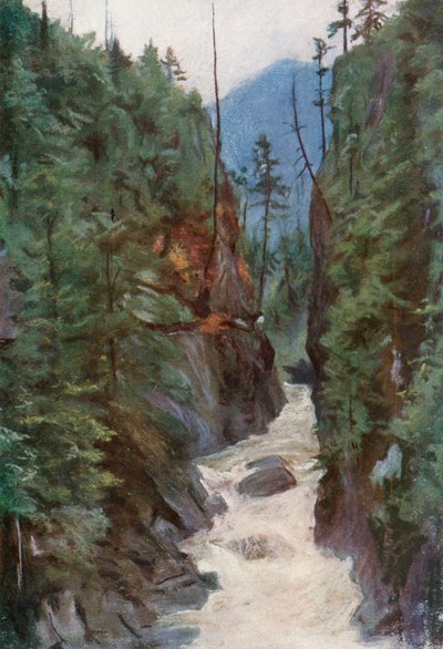 Cañón Capilano, cerca de North Vancouver de Harold Copping
