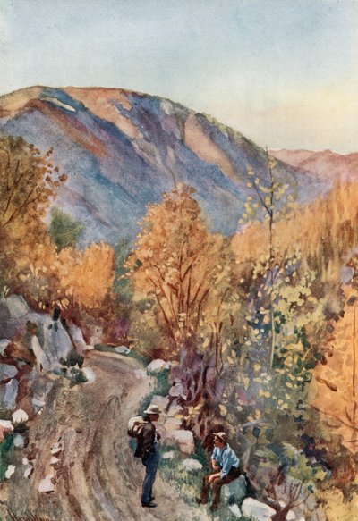 Monte Nelson de Harold Copping
