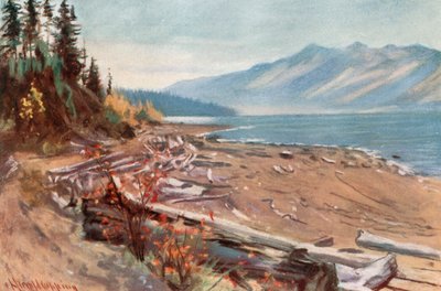Vista desde la orilla del lago Kootenay de Harold Copping