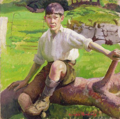 A Cornish Boy (óleo sobre lienzo) de Harold Harvey