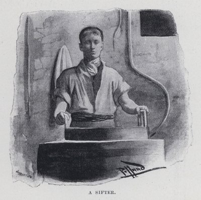 Un tamiz de Harold Hume Piffard