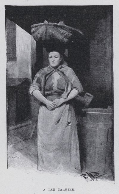 Un portador de tanino de Harold Hume Piffard