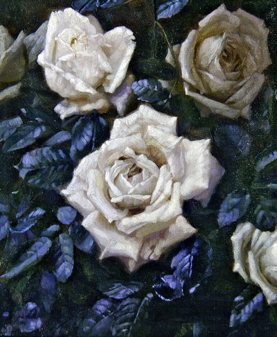 Rosas blancas de Harold Oakley