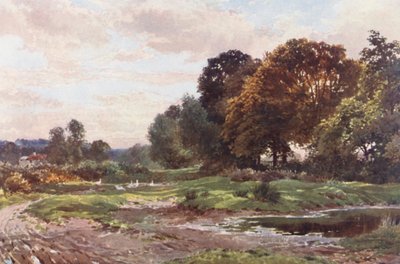 A Corner of Esher Common (litografía en color) de Harold Sutton Palmer