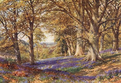 Una ladera de campanillas, Hascombe (litografía en color) de Harold Sutton Palmer