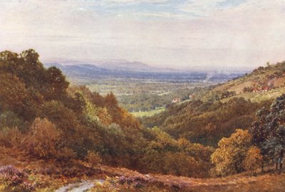 A Wide Stretch, from the Gibbet, Hindhead (litografía en color) de Harold Sutton Palmer