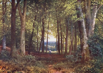 Deer-Leap Wood, Wotton (litografía en color) de Harold Sutton Palmer