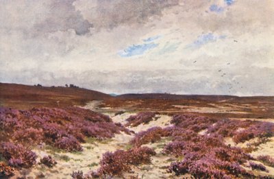 Frensham Common (litografía en color) de Harold Sutton Palmer