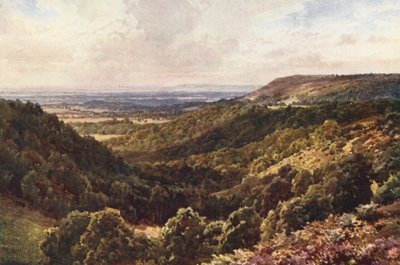 Desde las colinas de Peaslake, cerca de Gomshall (litografía en color) de Harold Sutton Palmer