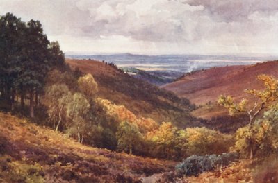 Hindhead, The Punchbowl, mirando al norte (litografía en color) de Harold Sutton Palmer