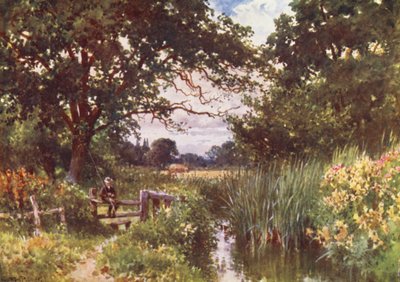 Cerca de Chobham (litografía en color) de Harold Sutton Palmer