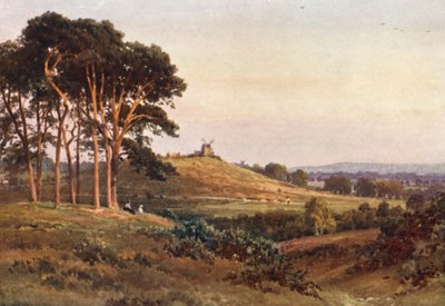 Reigate Heath, tarde (litografía en color) de Harold Sutton Palmer