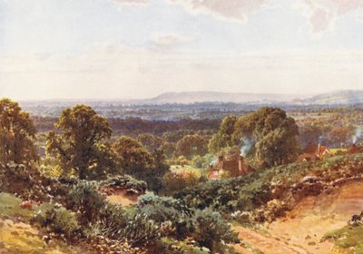 Sandhills, mirando hacia Blackdown (litografía en color) de Harold Sutton Palmer