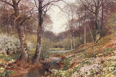 Flores de primavera, cerca de Dorking (litografía en color) de Harold Sutton Palmer