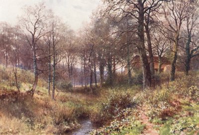 The Farm midst the Woods, cerca de Haslemere (litografía en color) de Harold Sutton Palmer