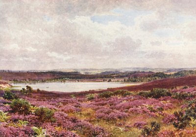The Great Pond, Frensham (litografía en color) de Harold Sutton Palmer