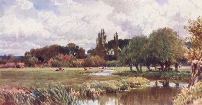 The Meads, Farnham (litografía en color) de Harold Sutton Palmer