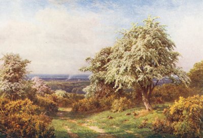 The Pride of Spring, Newlands Corner (litografía en color) de Harold Sutton Palmer
