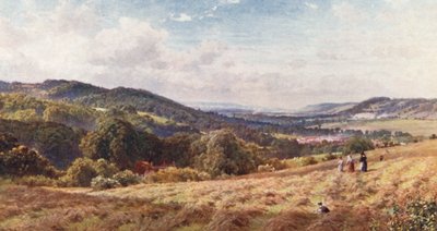The Vale of Dorking (litografía en color) de Harold Sutton Palmer