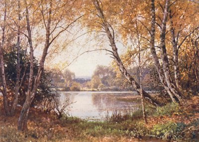 The Verge of the Pond, Royal Common (litografía en color) de Harold Sutton Palmer