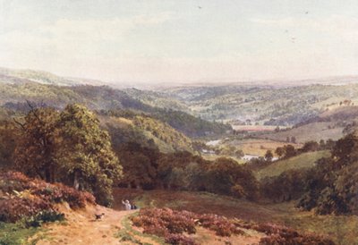 Valle de Albury, desde St Martha