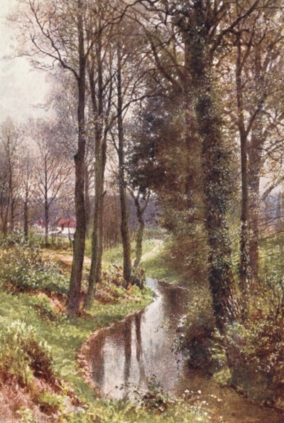 Water Lane, cerca de East Horsley (litografía en color) de Harold Sutton Palmer