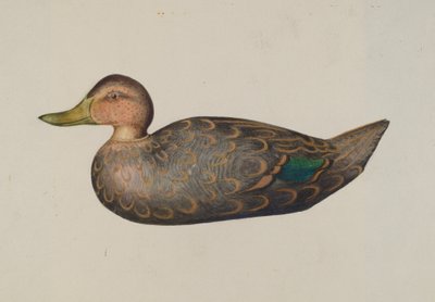 Pato señuelo de Harriette Gale