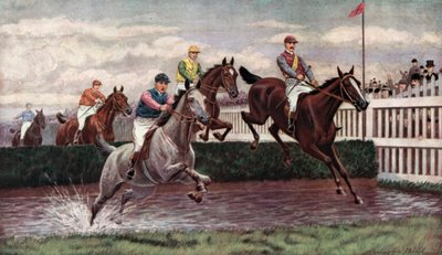 Carreras de obstáculos de Harrington Bird