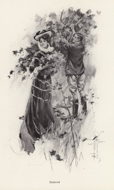 Mujer recogiendo flores con un admirador de Harrison Fisher