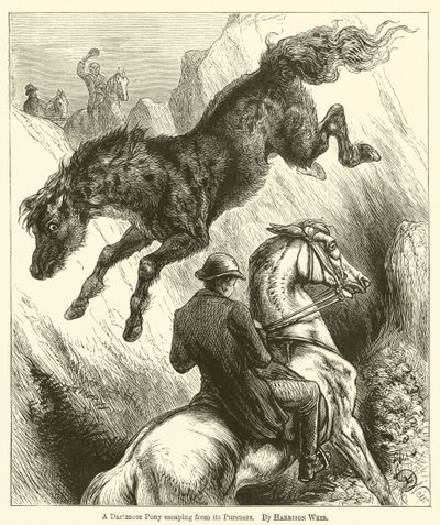 Un poni de Dartmoor escapando de sus perseguidores de Harrison William Weir