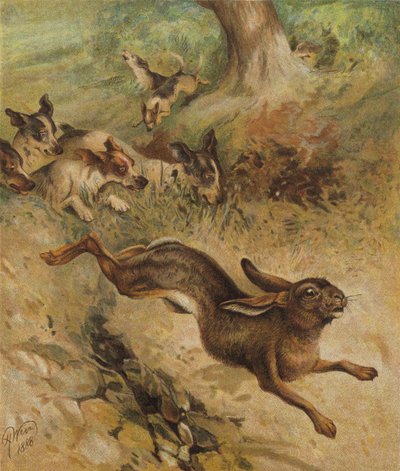 Una carrera por la vida de Harrison William Weir