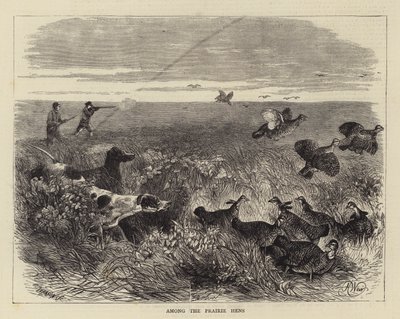 Entre las gallinas de la pradera de Harrison William Weir