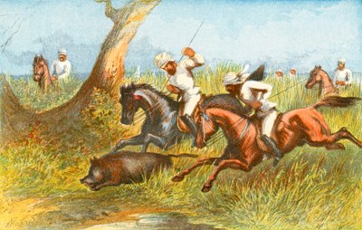 Jabalí - 