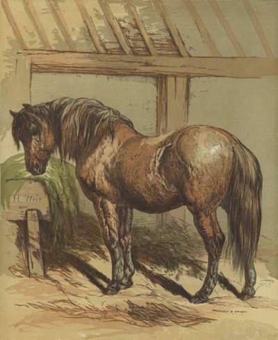 Charlie, el caballo de Harrison William Weir