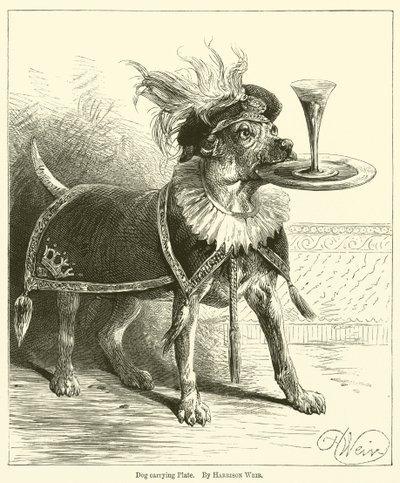 Perro llevando un plato de Harrison William Weir