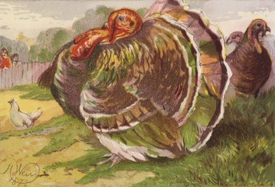 Pavo enfurecido (litografía en color) de Harrison William Weir