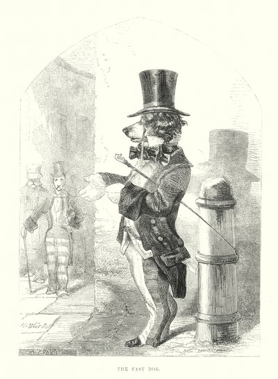 Perros graciosos: El perro rápido (grabado) de Harrison William Weir