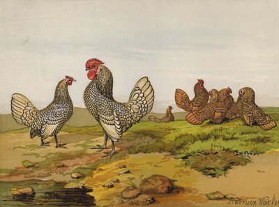 Gallos y gallinas con encaje dorado y plateado de Harrison William Weir