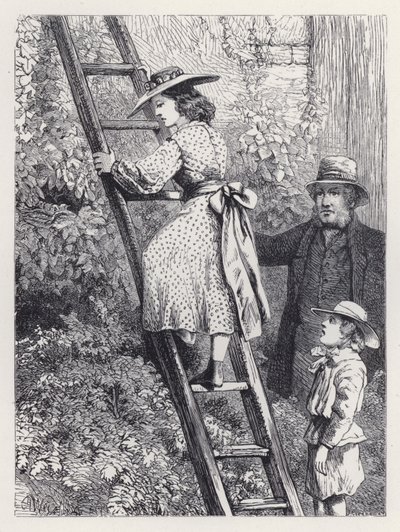 Harriet Espía el Nido de los Petirrojos de Harrison William Weir