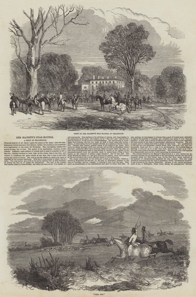 Los perros de caza de Su Majestad en Hillingdon de Harrison William Weir