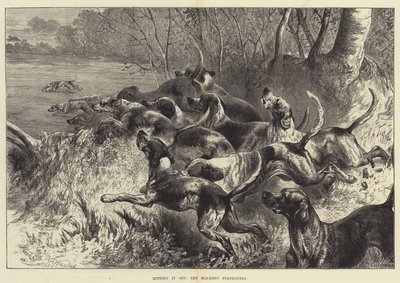 Acertando, los Sabuesos de Ciervo de Mid-Kent de Harrison William Weir