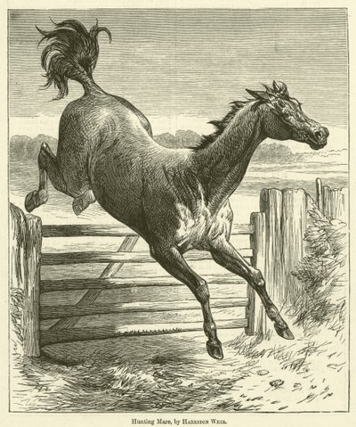 Yegua de caza de Harrison William Weir