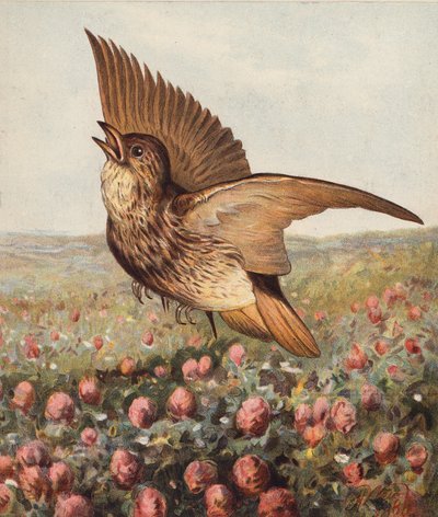 En el trébol (litografía en color) de Harrison William Weir