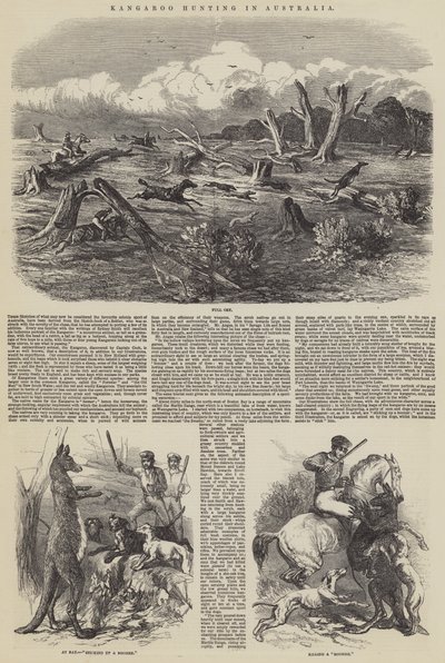 Caza de Canguros en Australia de Harrison William Weir