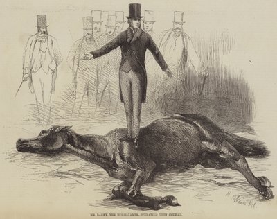 El Sr. Rarey, el domador de caballos, operando sobre Cruiser de Harrison William Weir