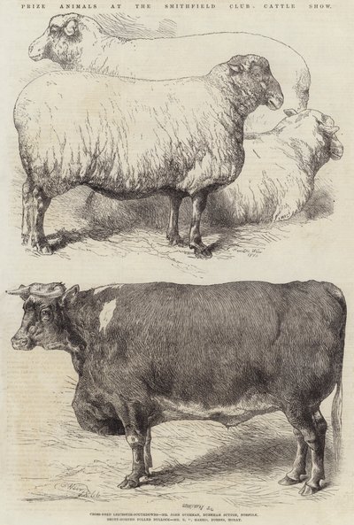 Animales premiados en la Exposición de Ganado del Club Smithfield de Harrison William Weir