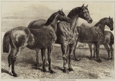 Caballos premiados en la exposición de caballos en el Agricultural Hall, Islington de Harrison William Weir