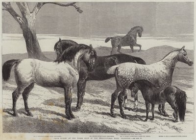 Caballos premiados en la exposición de caballos en el Agricultural Hall, Islington de Harrison William Weir